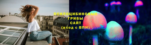 трава Балахна