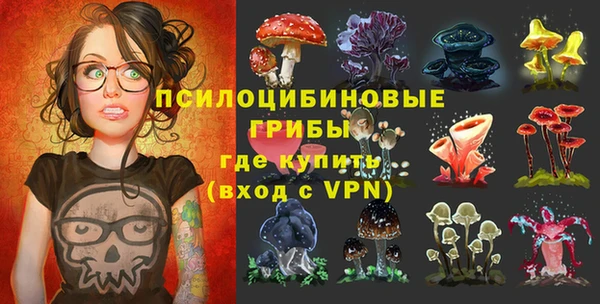 спиды Сосновоборск