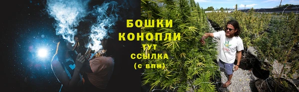 трава Балахна