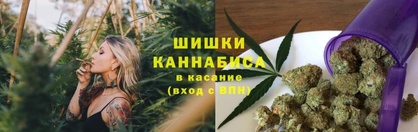 трава Балахна
